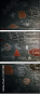 75977891
