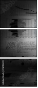 76194221