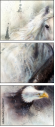 76649647