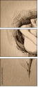80258727