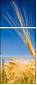8113087