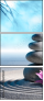 81478947