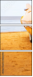 8686302