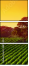 8892424