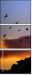 90650387