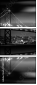 98976807