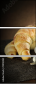 99130181