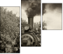 11284076