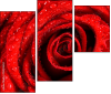 112923652