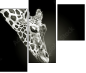 38098957