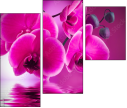 58002130