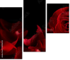 60186592