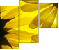 6606588