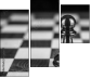 70258713
