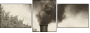 11284076