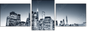 11924591
