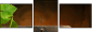 13276134