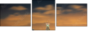 14630826