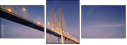 149714558