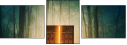 152144229