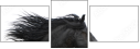 17865105