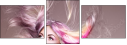 202033136