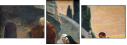 20892519