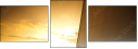 23897249