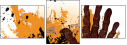 24093537