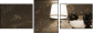 25666505