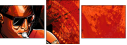 26840532