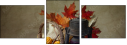 26891183