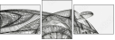 27014527