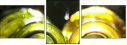 28072975