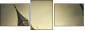 28559738