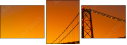 293004009