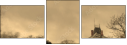 29517691