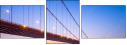 304313822