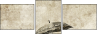 30497770
