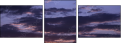30561905