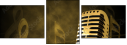 30659395