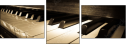 30665978