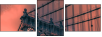 316642256