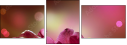 32312026