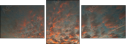 32897630