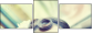 34322843