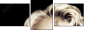 34938176