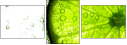 35158909