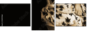 35392166