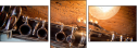 39661645